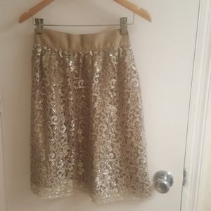 NWT J Crew lace skirt, size 6